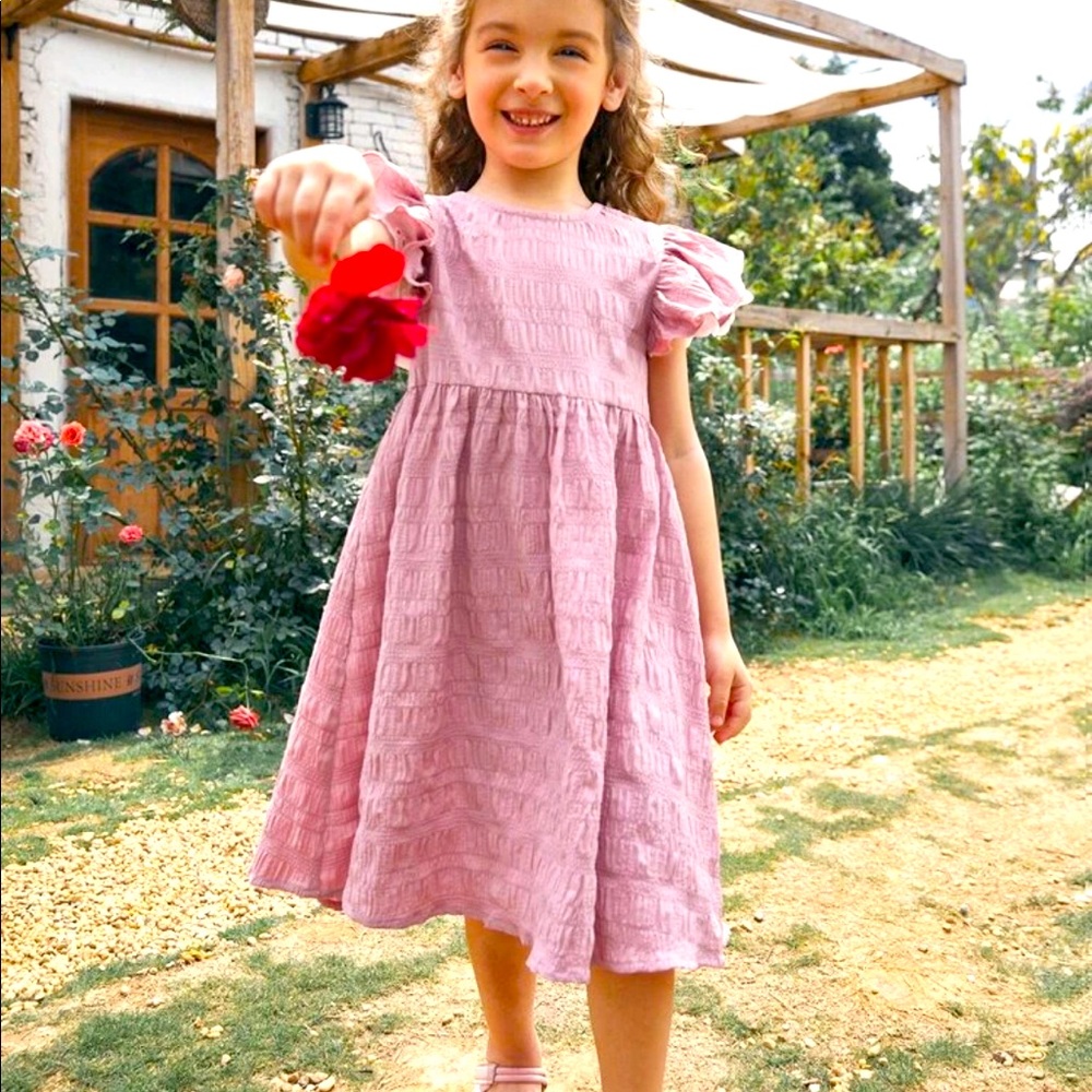 SHEIN Toddler Girls 1PC Butterfly Sleeve Textured Dress